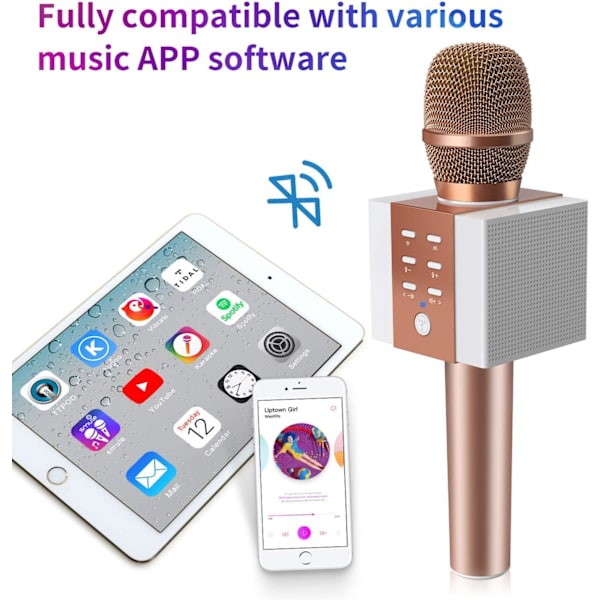 Trådlös Bluetooth Karaoke Mikrofon, 10W Större Volym, Mer Bas