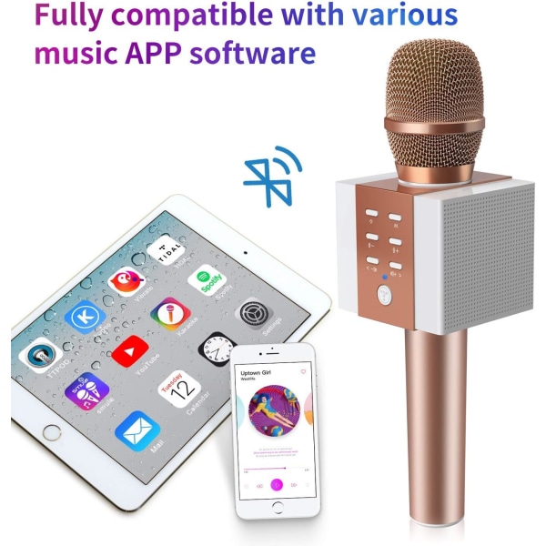 Trådlös Bluetooth karaokemikrofon, 10W större volym, mer ba