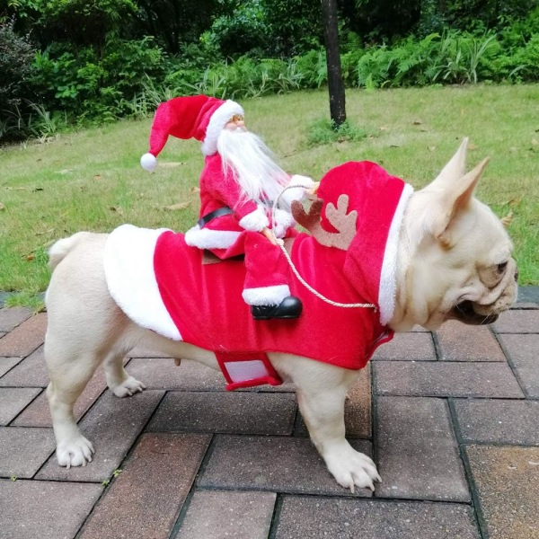 Jultomtehunddräkt Julhusdjurskläder Santa Claus Riding Pet Co