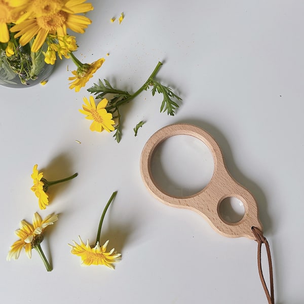 Barnehage naturfaglig innføring insekter herbarium forstørrelsesglass