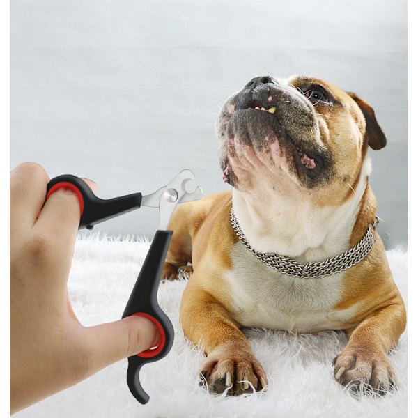 Hunde- og katteklo-klipper - St
