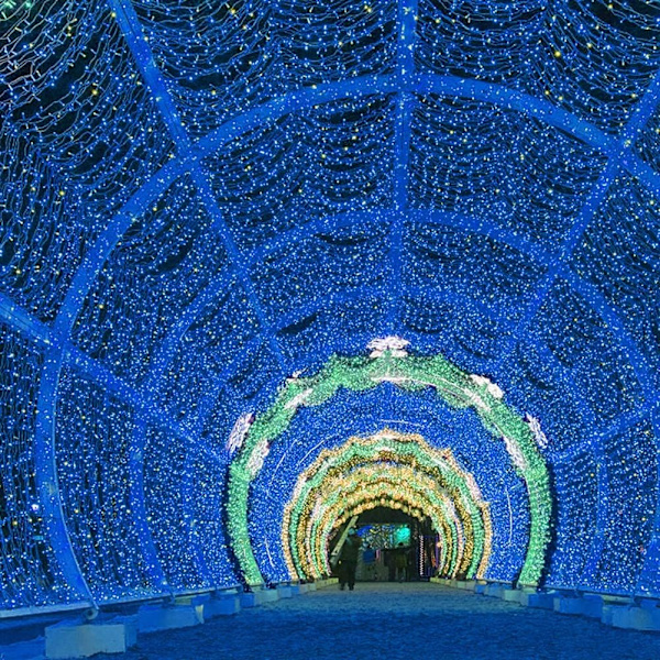 72FT Solcellelys Utendørs, Ultra-Lyssterke 200 LED Solcellelys
