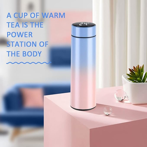 Dewenwils 500ml Termokande i Rustfrit Stål, Varmt Vand Rejse DXGHC