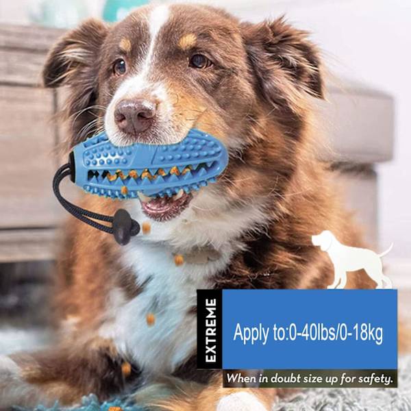 Hundtugg leksak, Utbildande hundleksak, Robust gummi, Blå - Bita, Ch