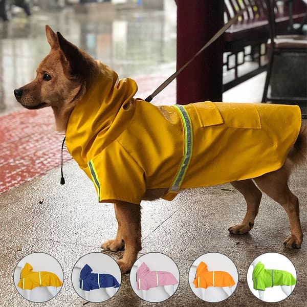 Hunde Regnjakke Størrelse M Kappe Refleksstripe Kjæledyr Regnjakke Windpro