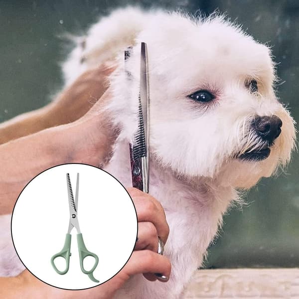2 stycken professionella hundtrimningssaxar Set för husdjur katt