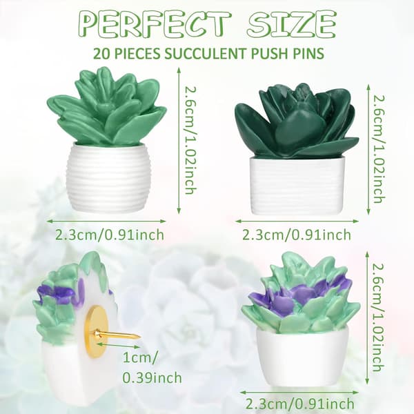 20 Stykke Søde Sukkulente Planter Dekorative Push Pins Farverige Flo