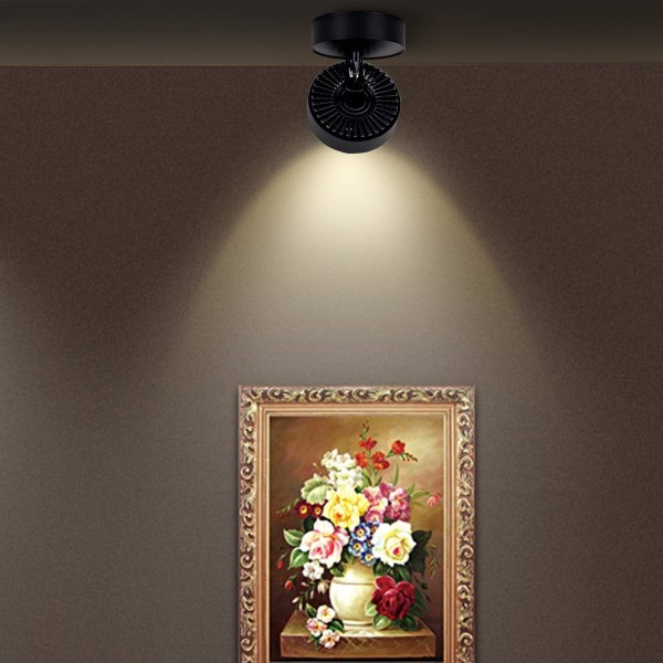 Inomhus 12W LED Taklampa med Justerbara Reflektorn DXGHC