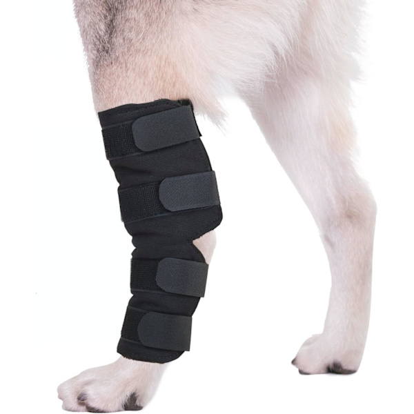 2 Par Pet Beskyttere, Hund Leggings, Store Hunder, Kneepads, E