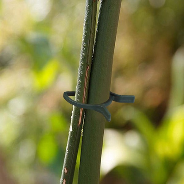 Plante Støtte Klips, Plastik Binde Klips Plante Klips, Klatre Plante