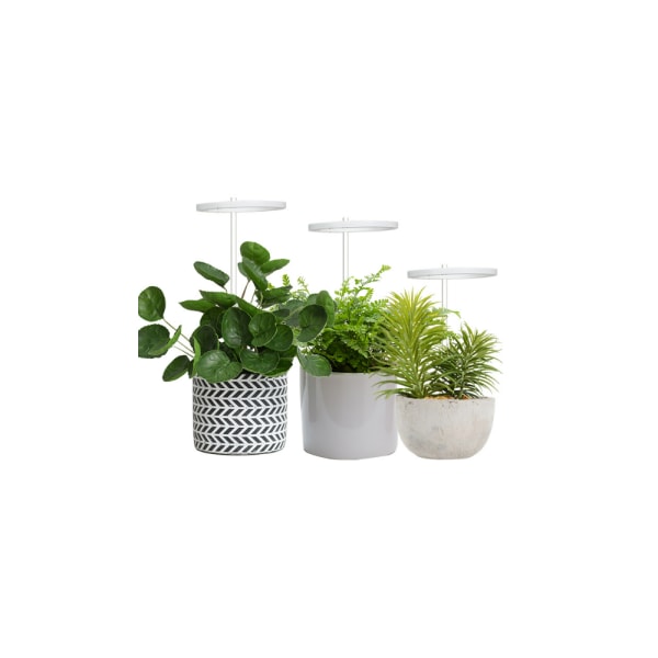 Fullspektrum LED-växtlampa med synkronisering, dimning och fyllning L