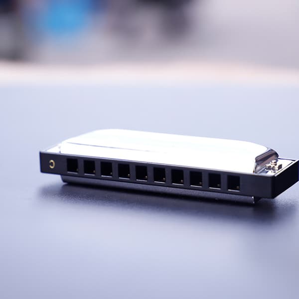 2 stk 10-hulls 20-tone Blues Harmonica for Begynnere - diatonisk