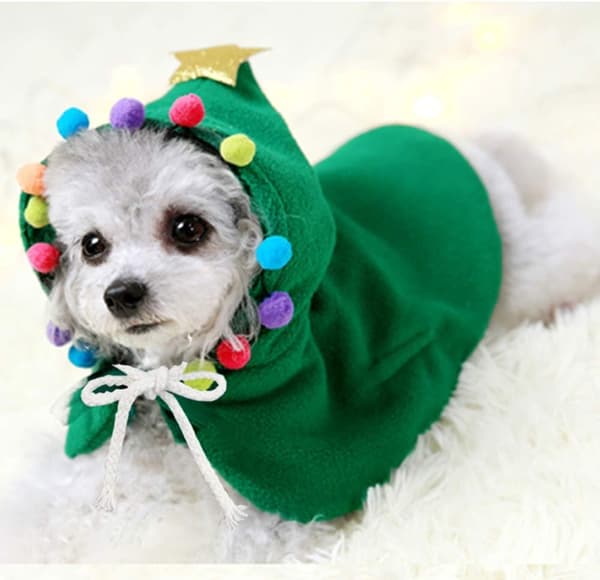 Julekostume til Hunde og Katte - Kappe med Stjerne og Pomponer