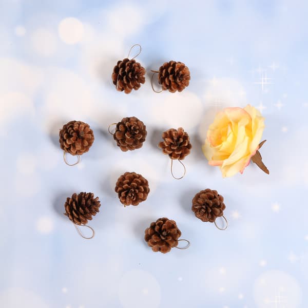 3-4cm naturfarvede blanke julepynt pineau-vedhæng