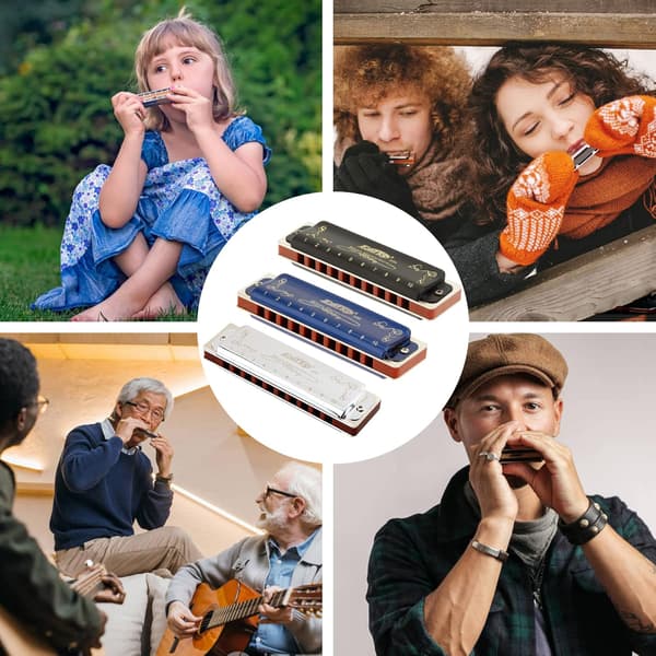 Oriental Ding 10 Hulls Blues Harmonika til Voksne Begyndere