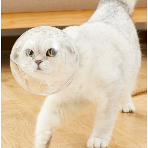 Kattmask katthjälm kattmaskhjälm husdjursskönhetsmask katt justerbar