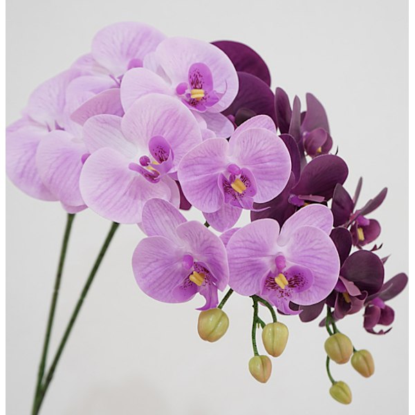 1 Simulert blomst føles Phalaenopsis husholdningsmodell romdekor