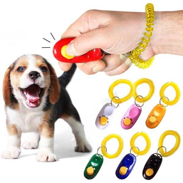 Hundklickare med armband Färgglada och praktiska, enkla och E