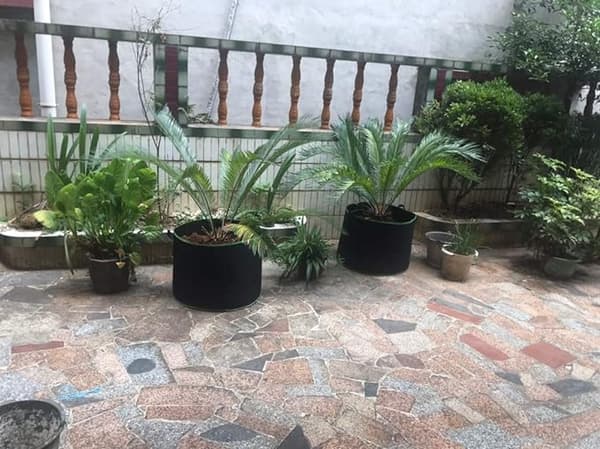 3 st. Non-woven Planteringsväskor 22 liter Höjd 30 cm Plantering DXGHC
