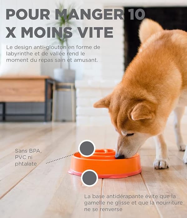 Anti-glutton langsom madskål til hunde - størrelse L/normal - orange DXGHC