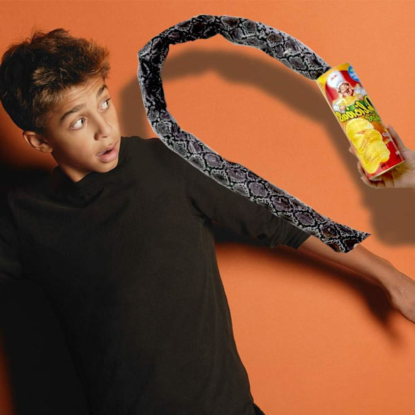 Aprilsnar-gave: Studerende spiller tricks på kartoffelchips-slange