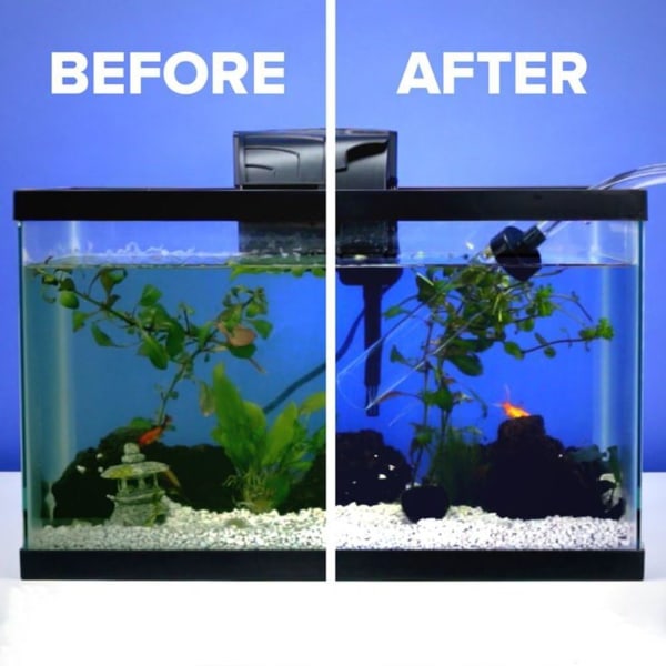 Magnetisk Aquarium Fish Tank Glasskrapa Vattenalgerskrot DXGHC