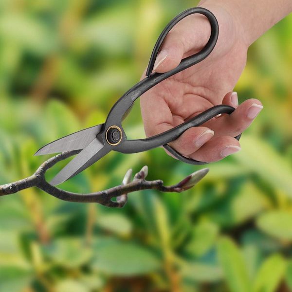 200mm Bonsai Saks - Rustfritt Stål, Beskjæringssaks Knopp Blad