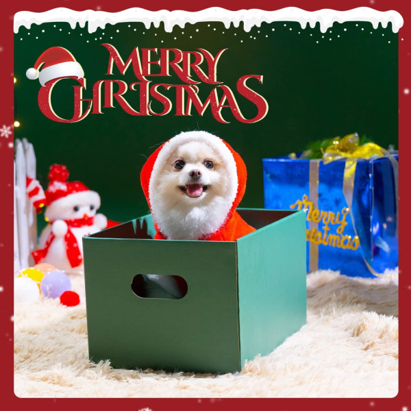 Julehundekostume, julehundetøj til små hunde, Chri