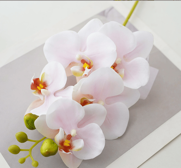 2 stk. 5 phalaenopsis kunstige blomster til hjemmedekor