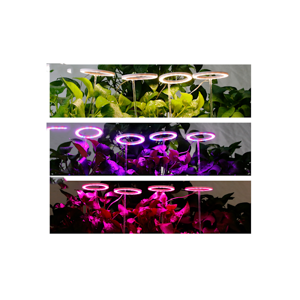Fullspektrum LED-växtlampa med synkroniserad dimning för att fylla växter