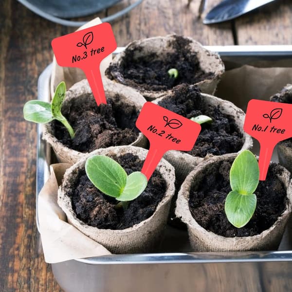 Plastplantmärken, 100-pack, Röda, 6 x 10 cm