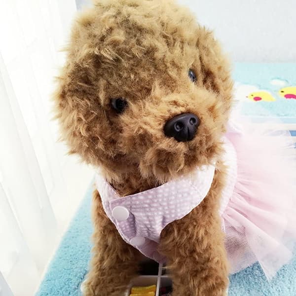 Pink, Medium, Hundekjole, Modetøj til Hunde, Stribet Mesh Pu