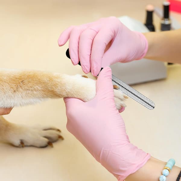 Hundeklosax för hundar och katter - S
