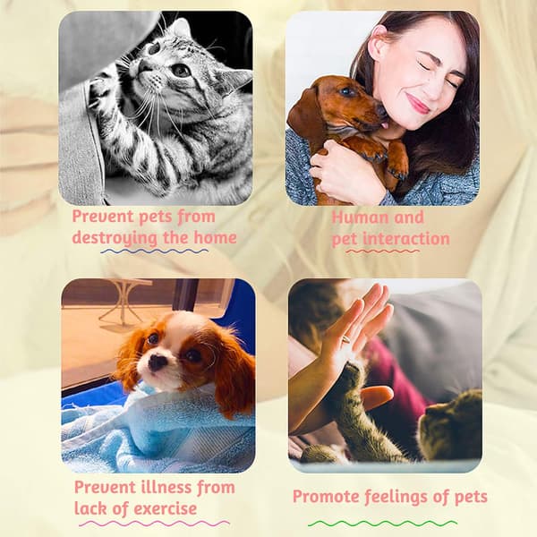 4-pack Hund- och Katt Dörrträning Klocka med Halksäker Botten