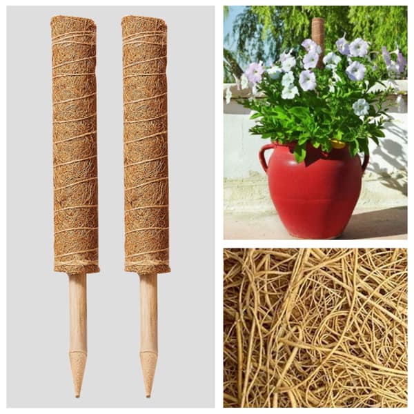 Plantevinstøttepæl til monstera - kokosfiber