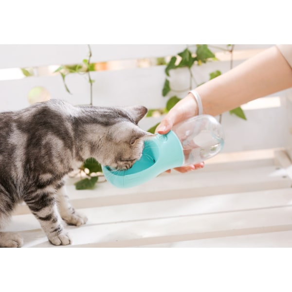 1 st 550 ml vattenflaska för katt och hund för husdjur, läckagesäker bärbar