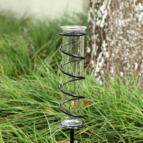 Spiral Have-Gardens Regnmåler Transparent Glasrør 5 Tommer Regn