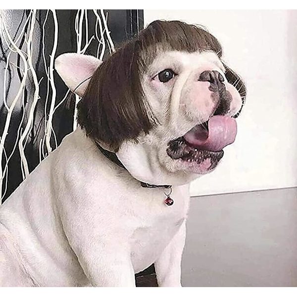 Hundefrisyre for Cosplay, Kjæledyrkostymer, Halloween Julaften Festival P