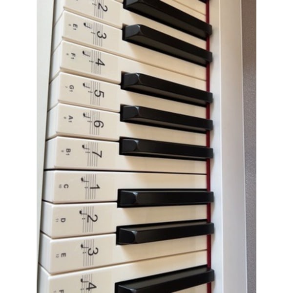 3 Sets of Black and White 88-key 61-key 54-key Transparent Piano