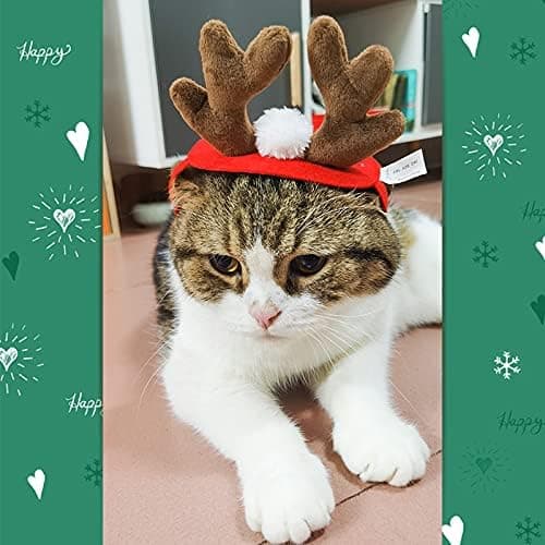 Julehatt med skjerf til katt, julekostyme sett for valp hund katt