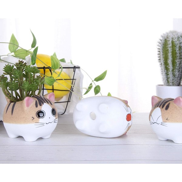2 stk. Katte Sukkulenter Potte, med Drænhul, Blomst Pot DXGHC