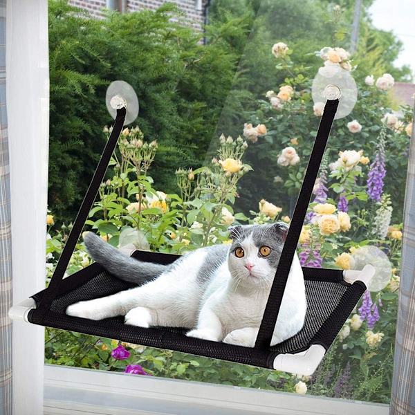 Kattvindu Hengekøye, Sugkoppsete Katt Hyller, Katt Hvileplass Solrik