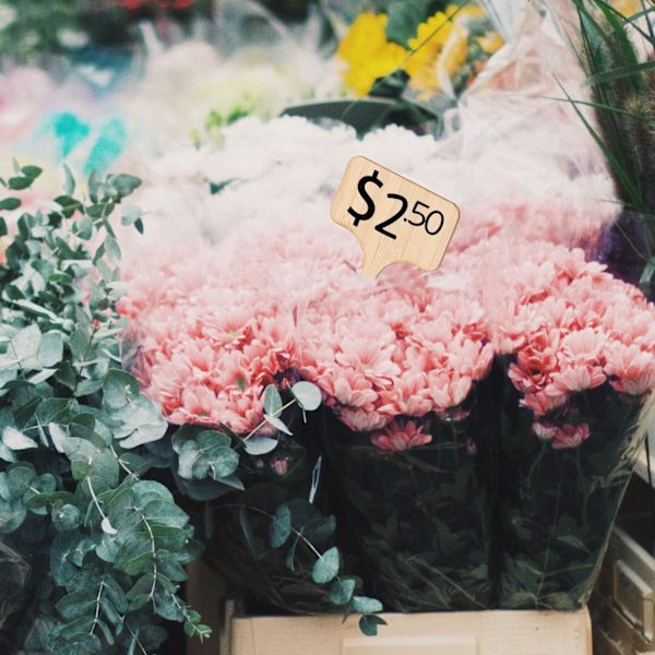 30 st Bambuväxtmärken Träetiketter Bambuväxtmärken T-formade