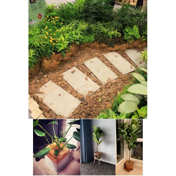 Hemträdgård Krukväxter Grönsaksodling Plantering M