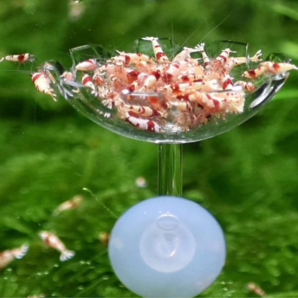 Katkarapujen ruokinta-astia -kulho Katkarapujen ruokinta-astia -kulho Akvaario S