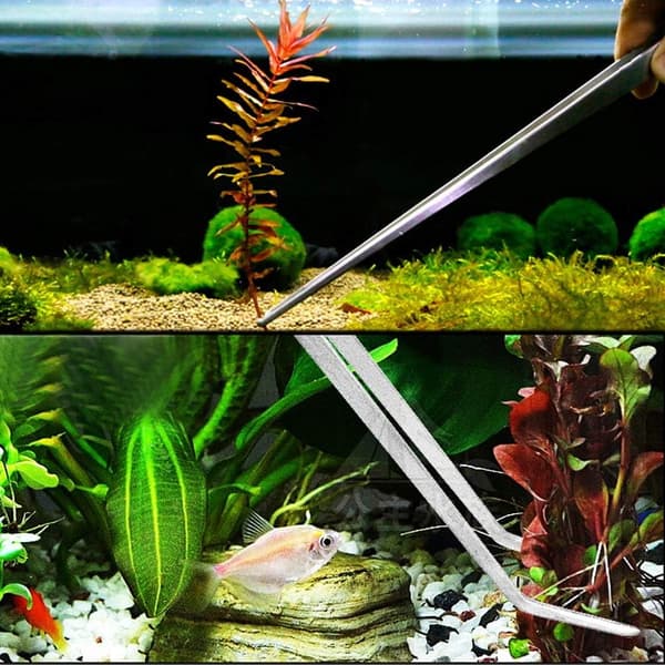 3-delt akvarietilbehørsæt, rustfrit stål pincet, fisk Ta