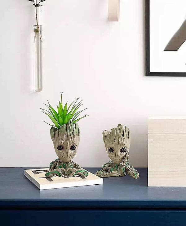 Dww-groot Blomkruka, Hjärtformad Groot Blomkruka, Suckulent DXGHC
