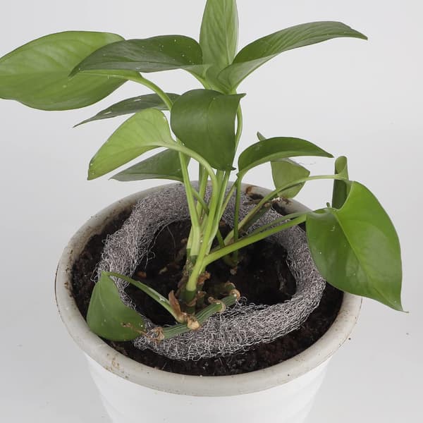 Rustfrit Stål Net, 12,5cm*12m, Fleksibelt Kobbernet, Anti Rotte