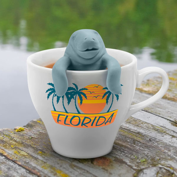 Silikon-teinfuser DXGHC
