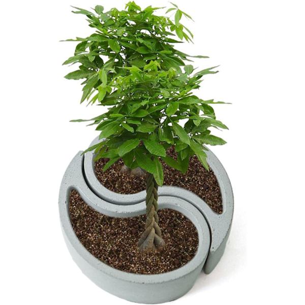 2-pack Betongblomkruka Silikonformar Succulent Växtformar Go